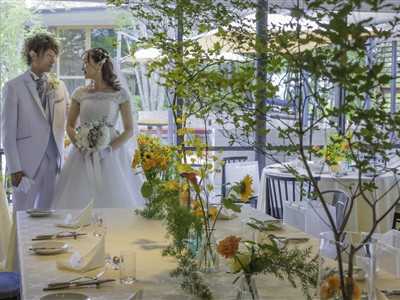 The TERRACE